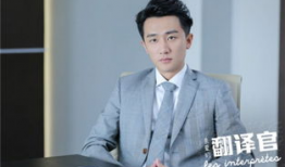 翻译官电视剧,跨越语言的桥梁，演绎爱情与梦想的交响曲