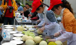 嘉善县吃瓜爆料,揭秘当地热点事件背后的真相