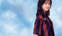 酒井法子电视剧,演绎传奇人生，电视剧中的璀璨星光