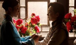 电视剧征服演员表,众星云集的演员阵容揭秘