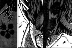 黑色五叶草动漫,魔法世界的青春传奇